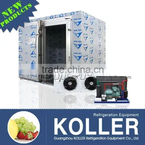 Koller Hot Sale Freezer Cold Room VCR30 for Fish and Meat Storage thumbnail-1
