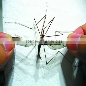 Mosquito Net thumbnail-1