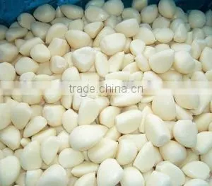 Garlic Powder Dehydrated Garlic Powder Factory Price thumbnail-6