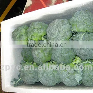 Chinese Fresh Broccoli thumbnail-1