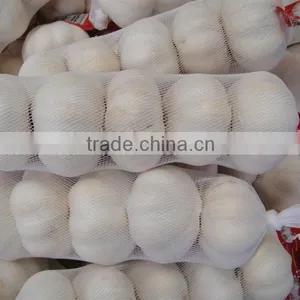 Super White Garlic thumbnail-1