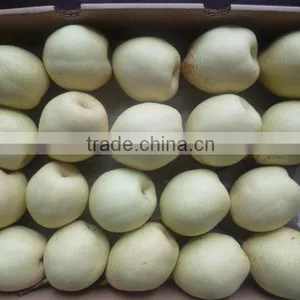 PEAR thumbnail-1