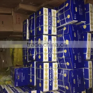 FRESH GINGER WITH PVC BOXES FOR MIDDLE EAST MARKET thumbnail-5