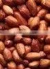 Peanuts in Shell thumbnail-5