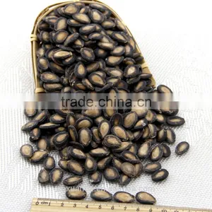 High Quality Watermelon Seeds in Shell thumbnail-1