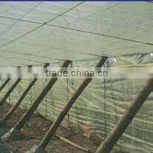 100% New Transparent Greenhouse Polyester Wire thumbnail-1
