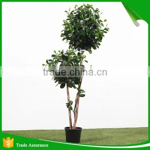 Mini Bonsai Artificial Ficus Trees thumbnail-3