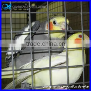 Heavy Gauge Bird Cage Wire Mesh Galvanized Welded Wire Mesh Panel 2x2 thumbnail-4