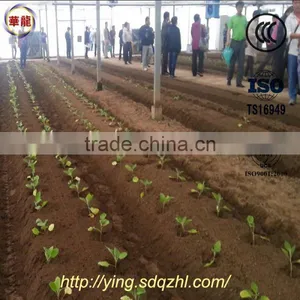 2ZBZ-2A Self-propelled Vegetable Transplanting Machine Vegetable Transplanter thumbnail-4