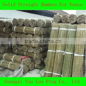 Bamboo Poles Canes Sticks thumbnail-1