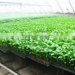 Cheap Price Custom Hot Sell Hydroponic Seedling Rice Seedling Tray thumbnail-3