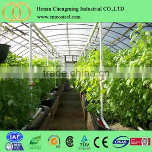 Automatic Mini Petrol Engine Sprayer Pump, Thermal Fogger For Vegetable Greenhouse thumbnail-1
