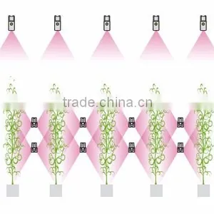 Led Side Lighting 75w Greenhouse Commercial Plants Led Grow up Lights thumbnail-5
