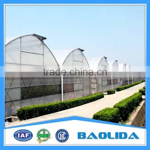 Cheap Multi-span Greenhouse thumbnail-1