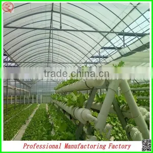 Multi-span Tunnel Solar Greenhouse for Flower Growing With Arched Type thumbnail-6