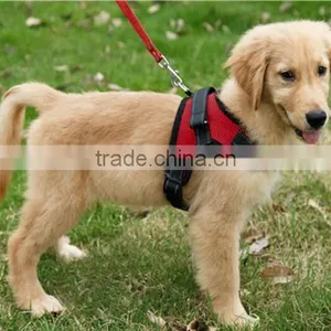 CY113 High Quality Adjustable Pet Harness Vest Breathable Dog Training Harness thumbnail-1