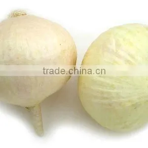 Hot Selling Artificial Decorating Fruits and Vegetables thumbnail-1