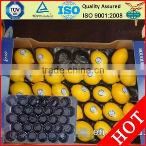 Clear Disposable Plastic Pvc Fruit Tray Plastic Fresh Fruit Tray thumbnail-3