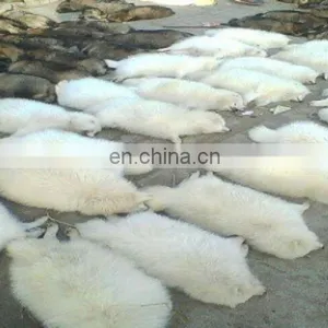 Cheap Raccoon, Raccoon Fur for Women's Clothing thumbnail-1
