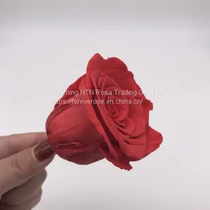 Preserved Flowers Wedding Bridal Bouquets Natural Eternal Roses thumbnail-2