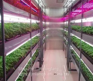 135W LED Glow Light Red White 8:1 AC85-265V JML-GL-45*3W thumbnail-5