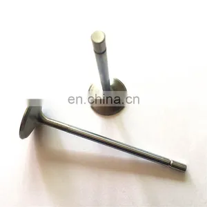Automark Spare Parts Inlet Exhaust Engine Valves for Dayun Motorcycle 200cc thumbnail-6