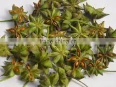 Bulk Food/cosmetic Grade Start Anise Oil thumbnail-1