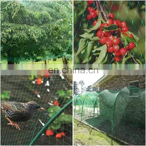 Agriculture HDPE Customized Anti Bird Net Garden Greenhouse Horticulture Plant Protection Cover Weaved thumbnail-3