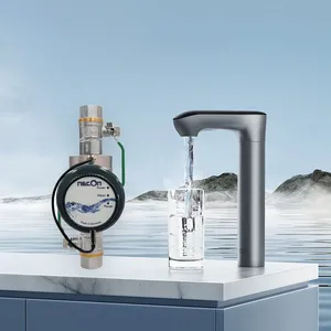 Copper Silver Ion Physical Water Purifier for Household Water Supply, no Need for Any Additives, Fast Sterilization, Suitable for the Whole House thumbnail-1