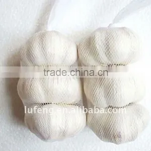 Crop 2011 White Garlic thumbnail-1