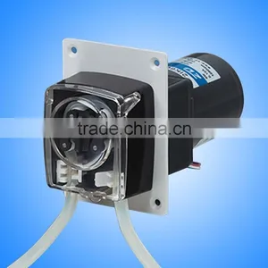 OEM Fixed Speed Peristaltic Pump TH15 Series With DC/AC Motor thumbnail-1