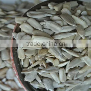 Sunflower Seeds Kernels/confectionary &bakery High Quality thumbnail-2