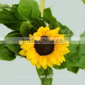 Most Popular Promotional Flower Wholesale Small Sunflower thumbnail-1