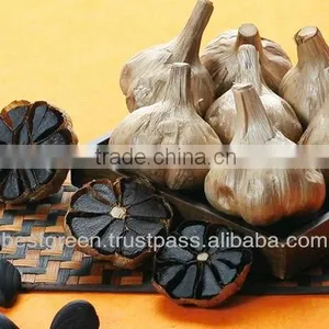 Black Garlic thumbnail-1