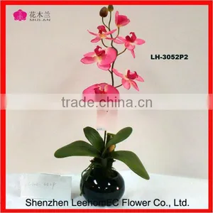 Real Touch Orchids in Pot Weding Silk Oncidium Wholesale thumbnail-1