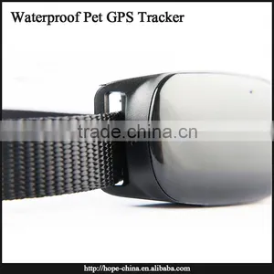 Most Popular Animal Gps Tracking Device,gps Dog Collar,cat Collar Gps Tracker Quality Choice thumbnail-5