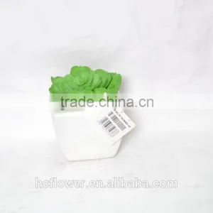 Artificial Succulent Plants With Plastic Pot for Indoor Decoration thumbnail-1