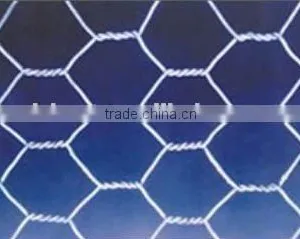 Chicken Coop Galvanized Wire Mesh thumbnail-1