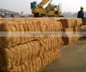 Coconut Fiber - QQ : 2598494113 thumbnail-3