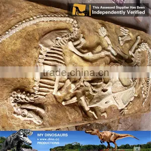 MY Dino-C091 Simulation Dinosaur Fossils Specimen Replica thumbnail-3