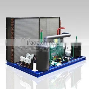 Commercial Modular Freezer Cold Room With 20CBM for Meat Storage VCR20 thumbnail-6