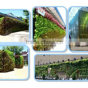 Free Shipping Vertical Garden Green Wall With Self Draining thumbnail-6