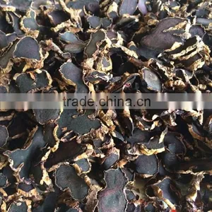 Dried Thai Herbal Kaempferia Parviflora Black Ginger Root thumbnail-1