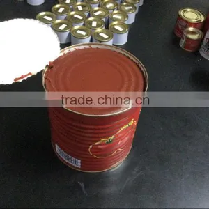 All Kinds of Canned Tomato Paste Sale thumbnail-3