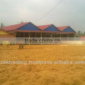 Premium Quality Coconut Fiber thumbnail-1