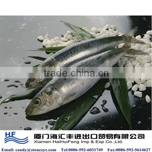 Frozen Fresh Sardines on Sale thumbnail-1