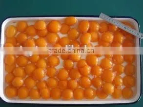 Canned Apricot in Light Syrup thumbnail-1