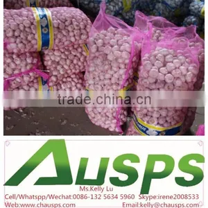 Chinese Garlic thumbnail-4