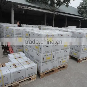 VIETNAM FRESH GINGER SIZE 150 UP thumbnail-3