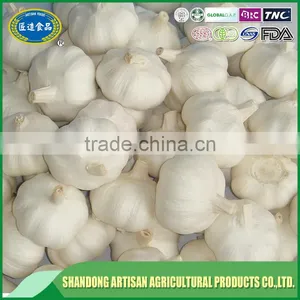 Fresh Garlic Export Company/cheap Price thumbnail-2